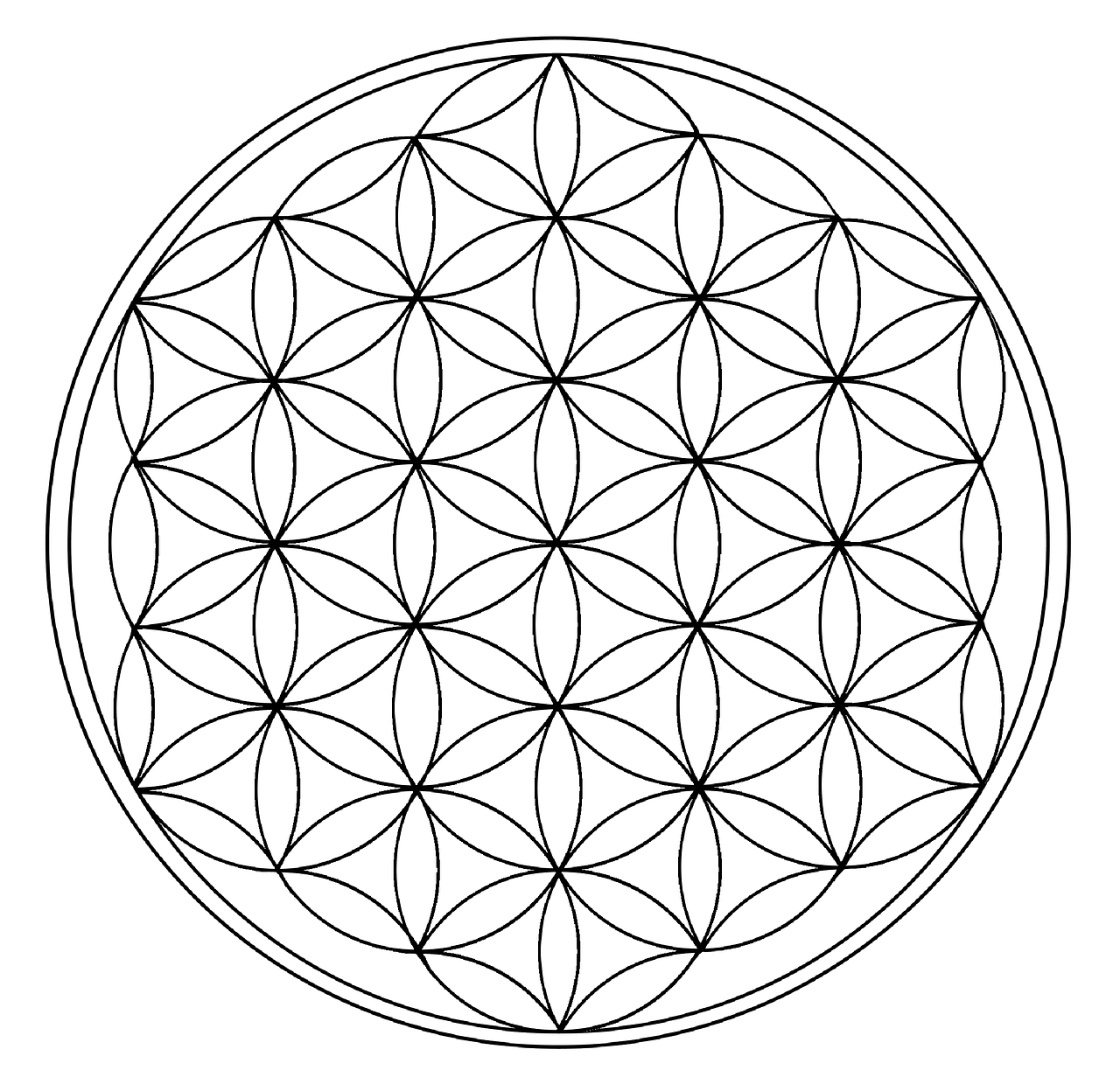 Bewusstseinserweiterung